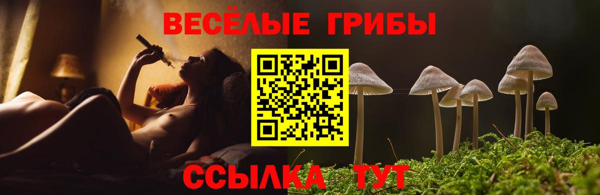 Курганинск  наркошоп  Псилоцибиновые грибы прущие грибы  Вход с VPN  Галлюциногенные грибы MAGIC MUSHROOMS 